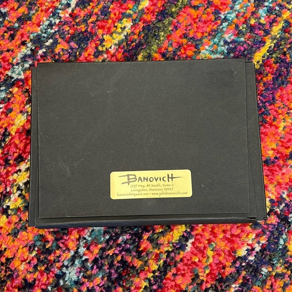 🤿New John Banovich set of postcards oil painting - Picture 4 of 8